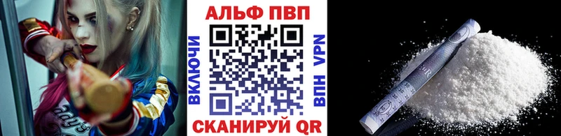 A-PVP СК  Луга 