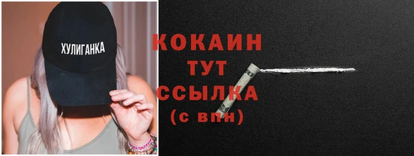 МДПВ Новозыбков