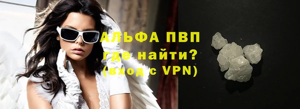 тгк Новодвинск