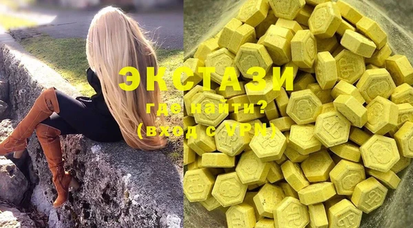 МДПВ Новозыбков
