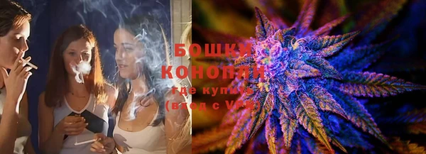 тгк Новодвинск