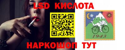молекула духа Донецк