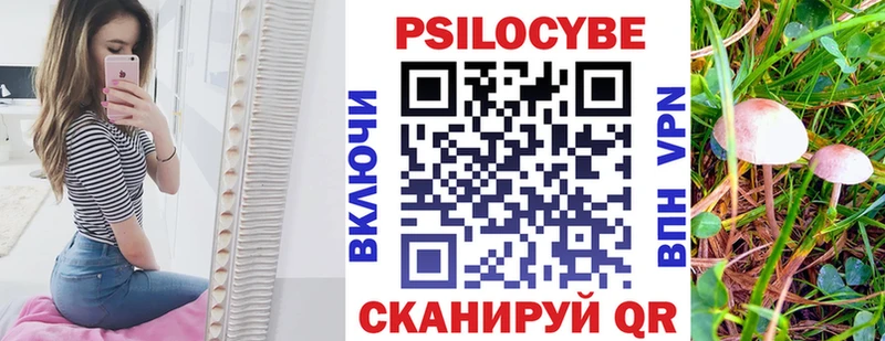 Галлюциногенные грибы Magic Shrooms  сайты даркнета какой сайт  Луга  где найти  