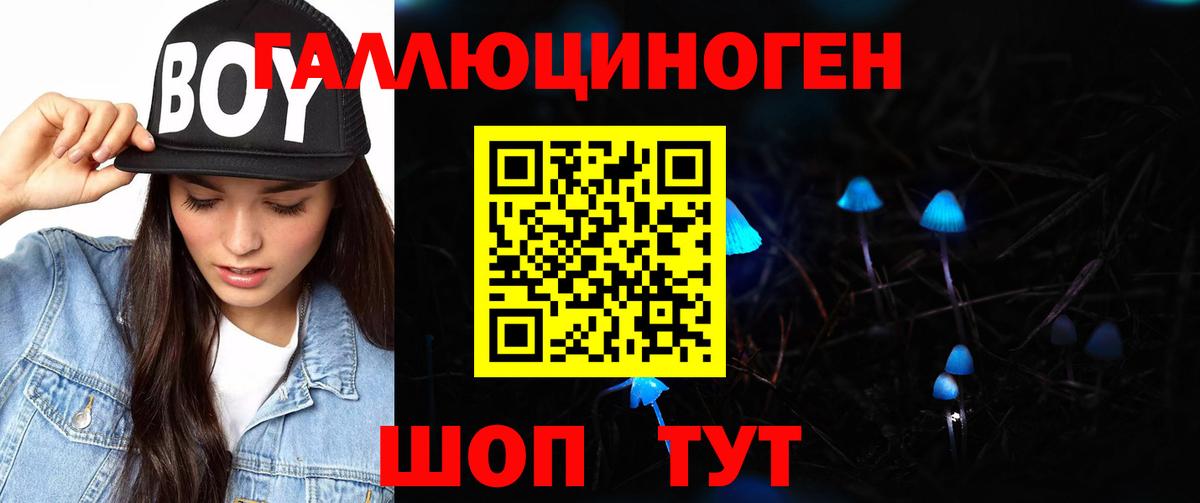 Псилоцибиновые грибы Psilocybe Луга