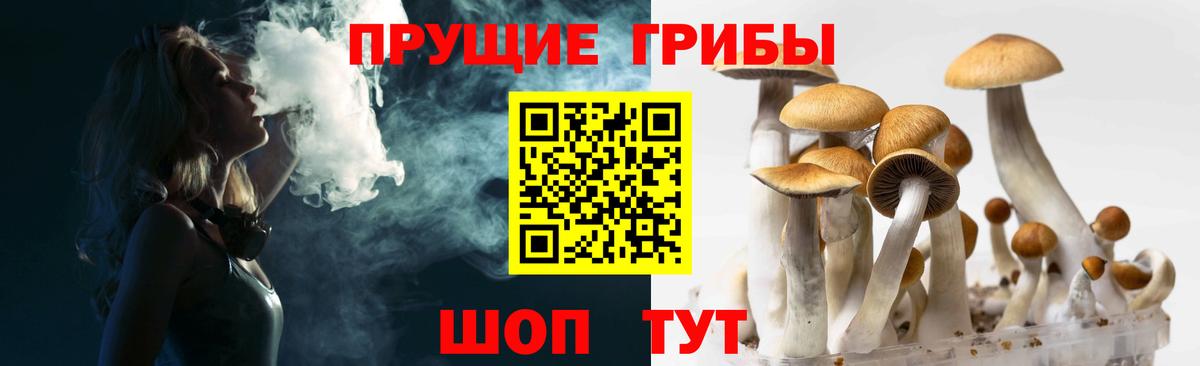 Галлюциногенные грибы GOLDEN TEACHER Луга